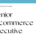 Senior Ecommerce Executive 