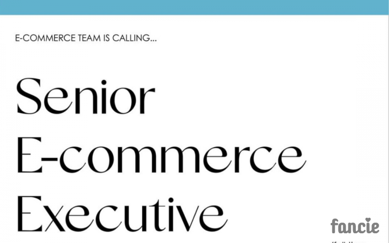 Senior Ecommerce Executive 